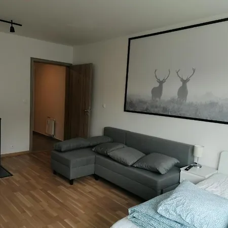 Brand New Two #23 With Free Parking In The Center * Praha