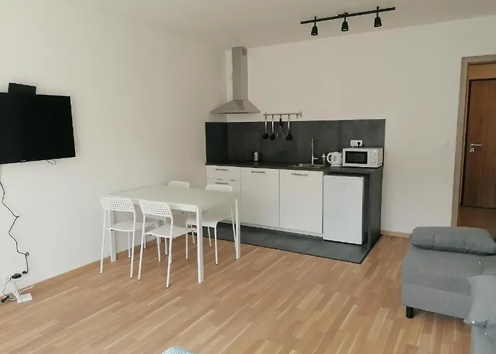 Brand New Two #23 With Free Parking In The Center Apartmán Praha