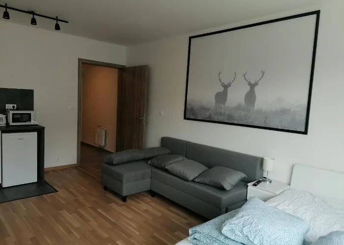 Brand New Two #23 With Free Parking In The Center * Praha